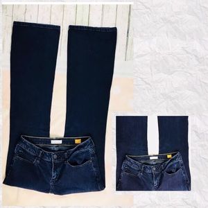 Anthropologie Pilcro & The Letterpress Jeans